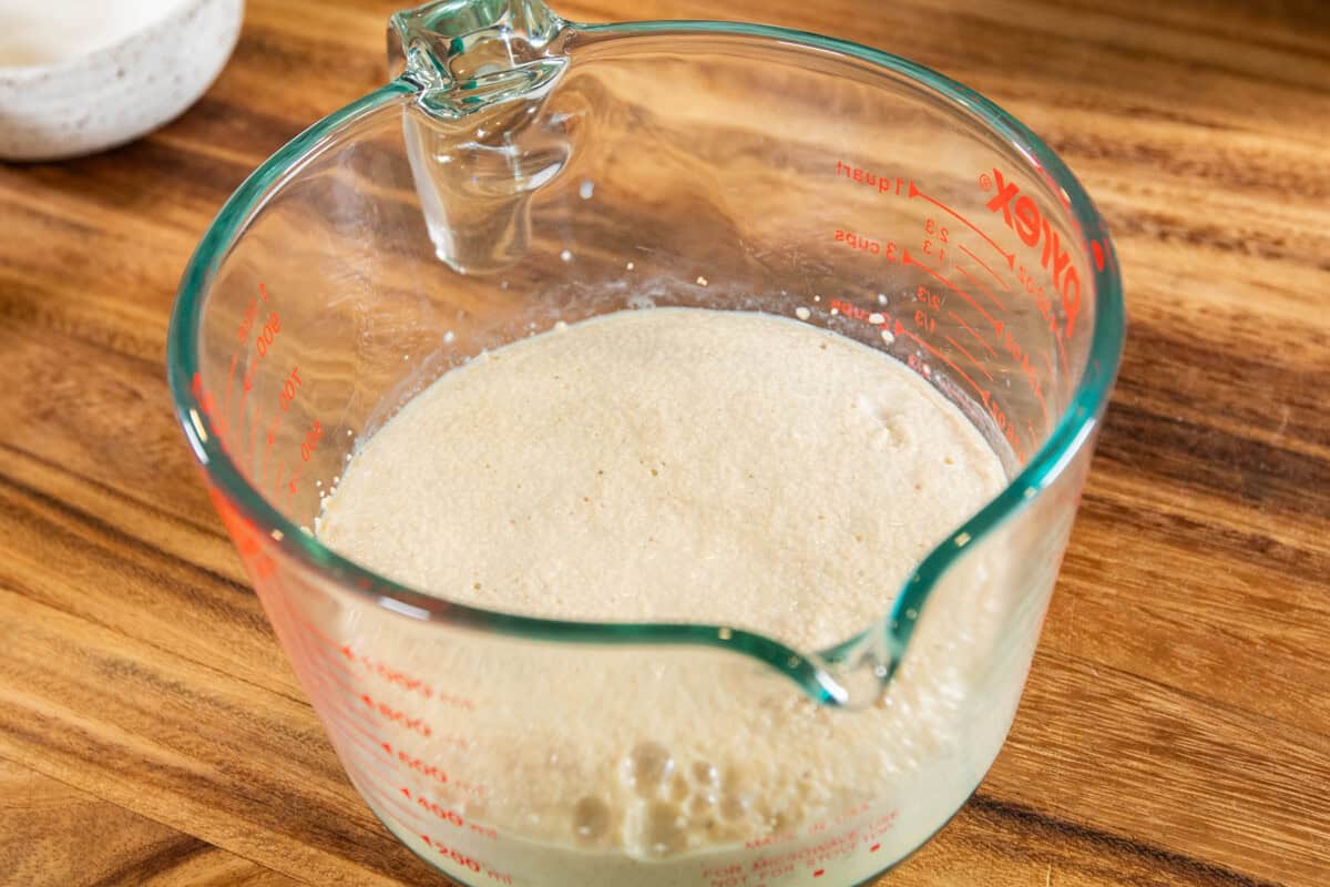 activated yeast in large measuring cup