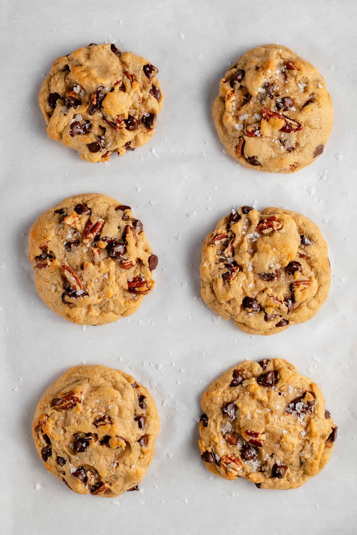 baked Chunky Chocolate Chip Pecan Cookies on white background