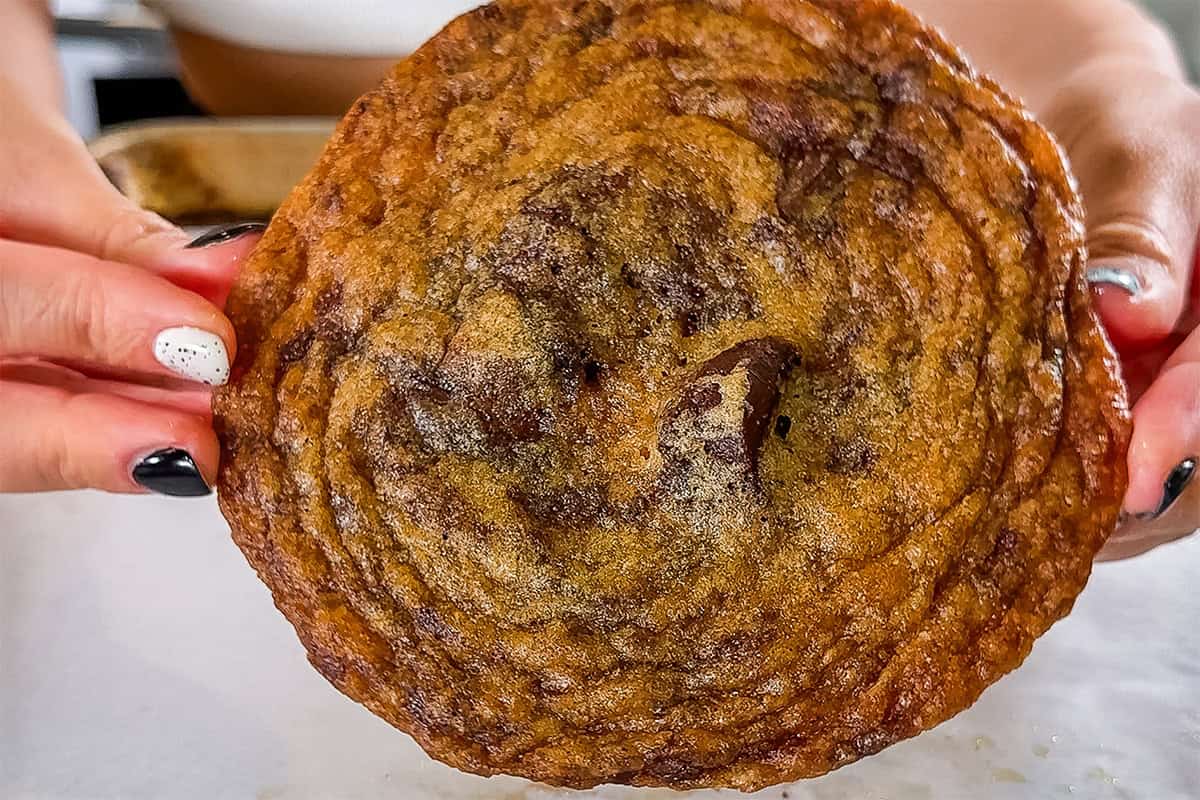 holding a large cookie in hands