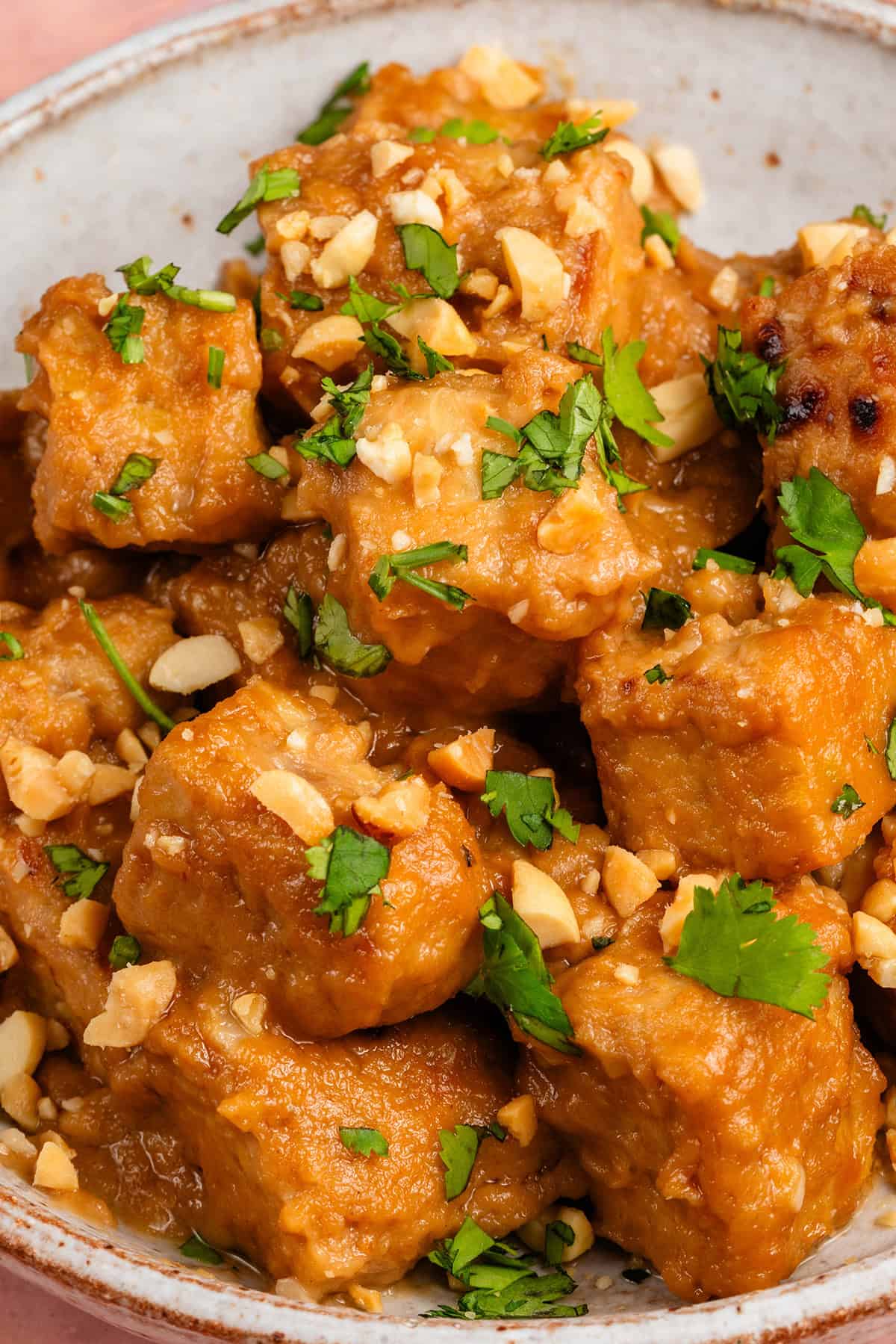 peanut braised tempeh in a bowl topped with cilantro and crushed peanuts