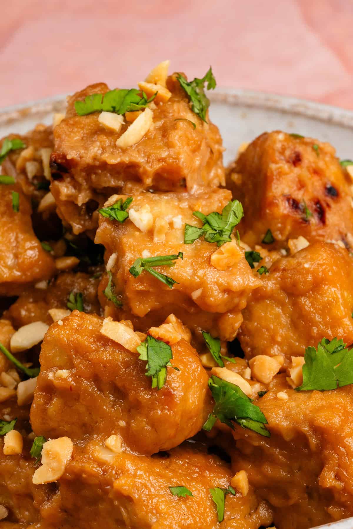 peanut braised tempeh in a bowl