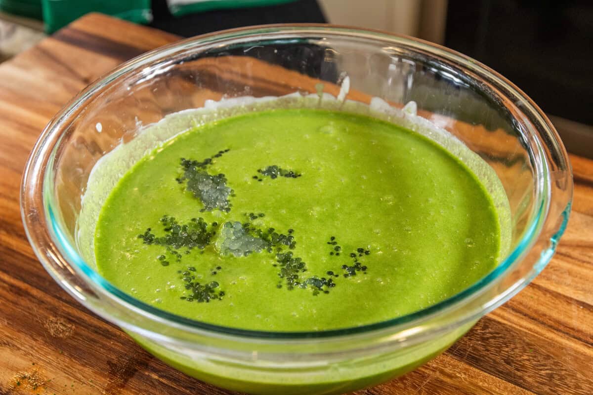 adding the tapioca pearls to the bowl